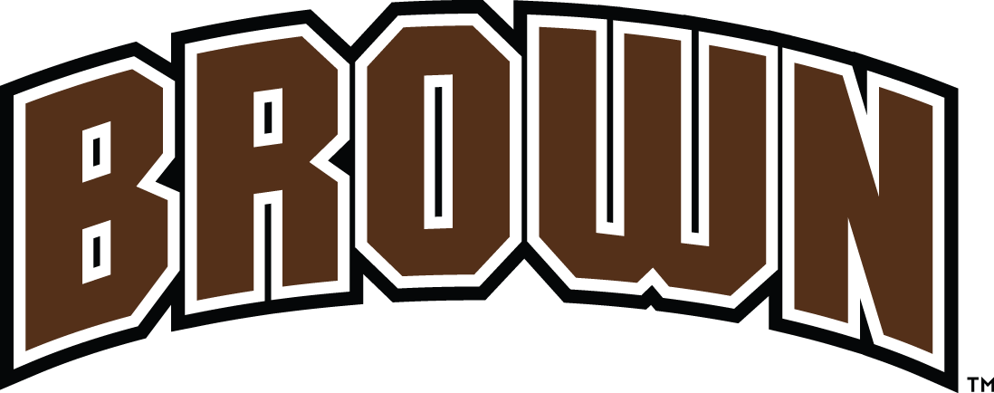 Brown Bears 1997-Pres Wordmark Logo DIY iron on transfer (heat transfer)